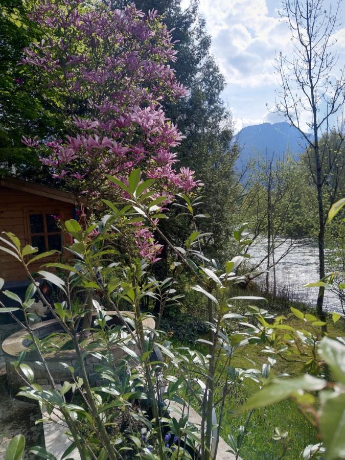 Apartments An Der Traun Bad Ischl Bagian luar foto